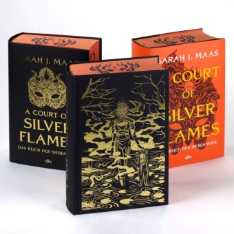A Court of Silver Flames