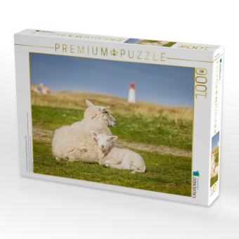 CALVENDO Puzzle Schafe im Naturschutzgebiet Ellenbogen auf Sylt | 1000 Teile Lege-Größe 64x48cm Foto-Puzzle für glückliche Stunden