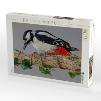 CALVENDO Puzzle Buntspecht | 1000 Teile Lege-Größe 64x48cm Foto-Puzzle für glückliche Stunden