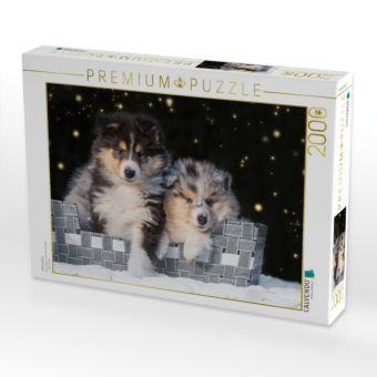 CALVENDO Puzzle Colliewelpen | 2000 Teile Lege-Größe 90x67cm Foto-Puzzle für glückliche Stunden