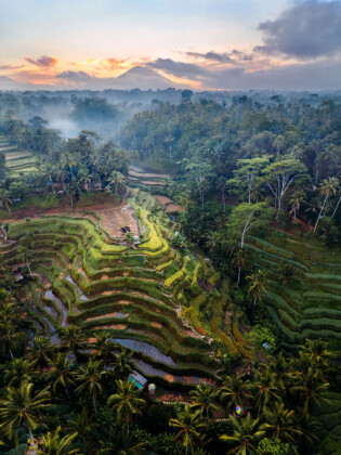 CALVENDO Puzzle Ubud - Bali | 1000 Teile Lege-Größe 64x48cm Foto-Puzzle für glückliche Stunden