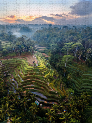 CALVENDO Puzzle Ubud - Bali | 1000 Teile Lege-Größe 64x48cm Foto-Puzzle für glückliche Stunden