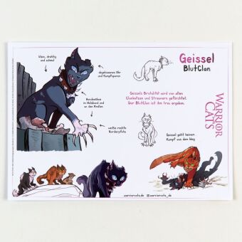Warrior Cats - Die Prophezeiungen beginnen