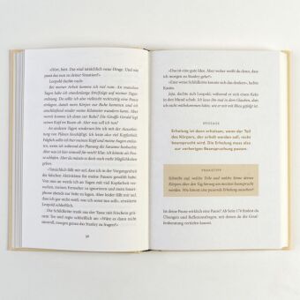 Der müde Löwe und die Kunst der Erholung