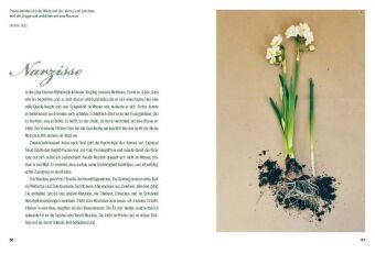 Der Garten der Bibel