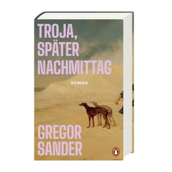 Troja, später Nachmittag