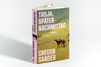 Troja, später Nachmittag