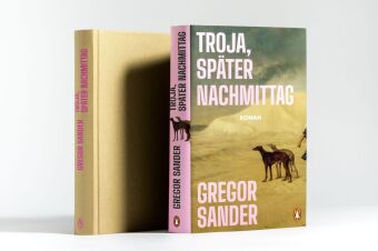 Troja, später Nachmittag