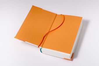 Das Buch meines Lebens haben Klügere geschrieben