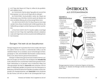 Dein Perimenopause-Guide