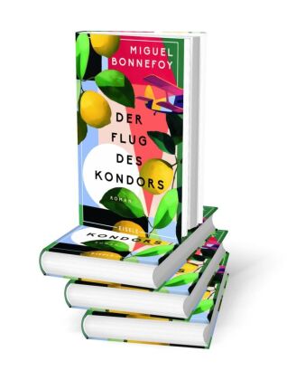 Der Flug des Kondors