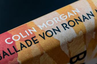 Die Ballade von Ronan McCoy