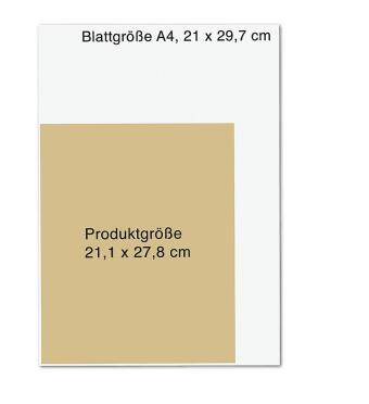 Nachts im Kanzleramt - Die Graphic Novel