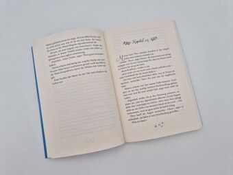 Das verschwundene Weihnachtsbuch