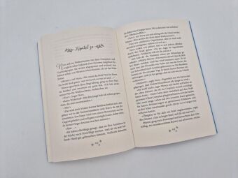 Das verschwundene Weihnachtsbuch