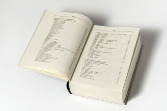 Der russische Märchenschatz