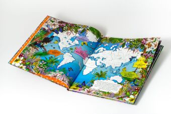 Die unglaubliche Safari