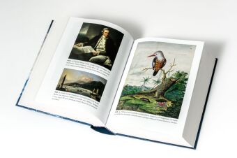 Forster - Reise um die Welt