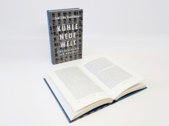 Kühle neue Welt. Eine Geschichte der Moderne