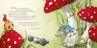 Die kleine Spinne Widerlich