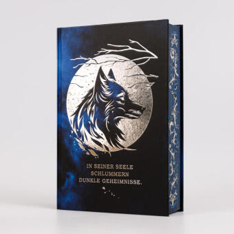 The Night Prince (Wolf King 2)