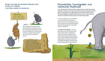 Die Müllabfuhr in der Natur - Alles über Mistkäfer und Co.