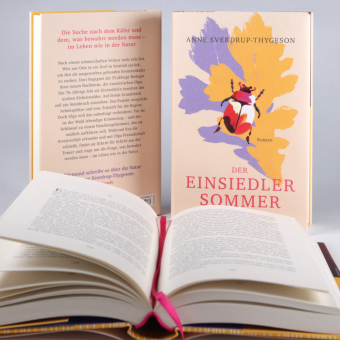 Der Einsiedlersommer