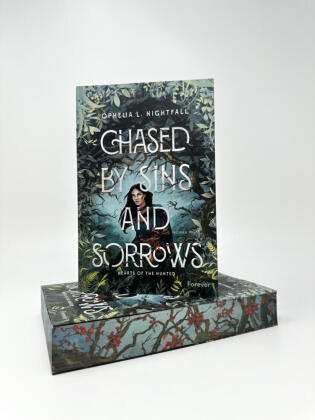 Chased by Sins and Sorrows