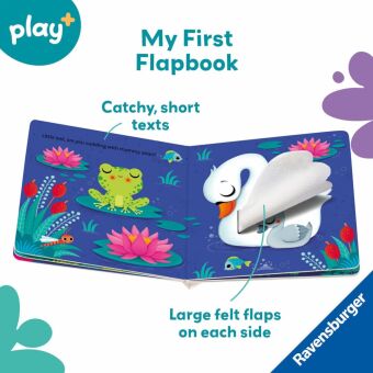 Play+ Are you hiding, little owl?
