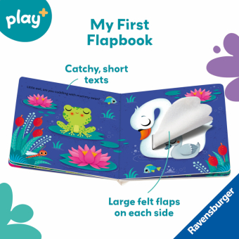 Play+ Are you hiding, little owl?