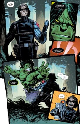 Der unglaubliche Hulk