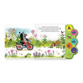 TRÖTSCH - Der kleine Maulwurf Soundbuch Auf großer Fahrt| Ab 18 Monate