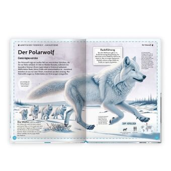 TRÖTSCH - Kinderbuch Das großartige Buch der Polartiere| Ab 8 Jahren