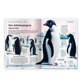 TRÖTSCH - Kinderbuch Das großartige Buch der Polartiere| Ab 8 Jahren