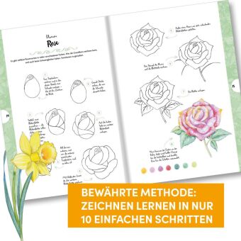 Die Kunst des Zeichnens 10 Steps - Die große Sammlung