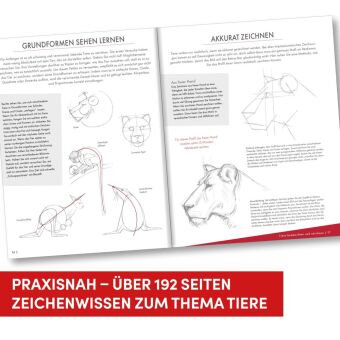 Die Kunst des Zeichnens Tiere
