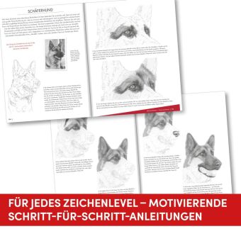 Die Kunst des Zeichnens Tiere