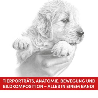 Die Kunst des Zeichnens Tiere