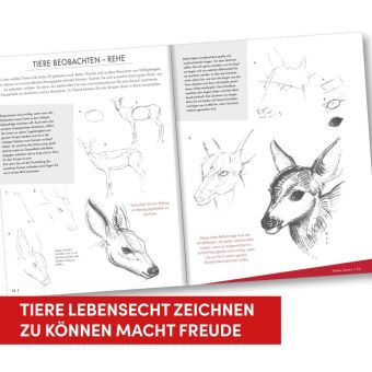 Die Kunst des Zeichnens Tiere
