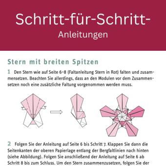 Zarte Origamisterne (kreativ.kompakt.)