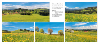 Allgäu