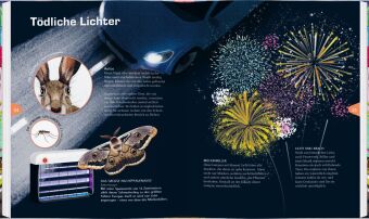 Licht