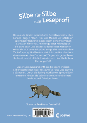 Die besten Silbengeschichten zum Lesenlernen - Detektive und Geheimnisse