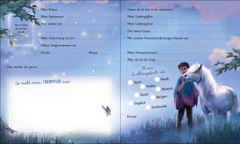 Meine Freunde (Wundermähne)