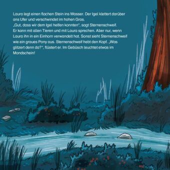 Maxi Pixi 518: Sternenschweif. Das Glückspferd