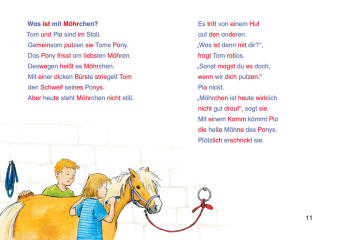 LESEMAUS zum Lesenlernen Sammelbände: Die besten Silben-Geschichten zum Lesenlernen