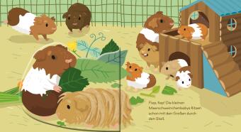 Baby Pixi (unkaputtbar) 189: Flippediflapp: Tiere bei uns zu Hause