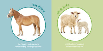 Baby Pixi (unkaputtbar) 183: Mein Baby-Pixi-Buggybuch: Meine ersten Tiere