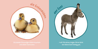 Baby Pixi (unkaputtbar) 183: Mein Baby-Pixi-Buggybuch: Meine ersten Tiere
