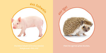 Baby Pixi (unkaputtbar) 183: Mein Baby-Pixi-Buggybuch: Meine ersten Tiere